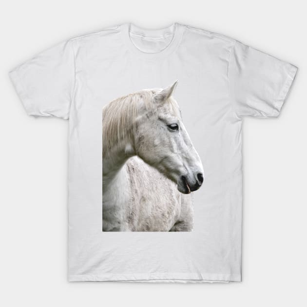 photo horse max T-Shirt by mystudiocreate